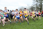 Junior boys 2019 New Balance English Schools Cross Country Champs, Temple Newsam, Leeds. Photo:  David T. Hewitson/Sports for All Pics